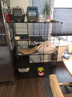 Kattenbench, Ophalen