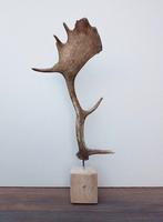 DAMHERT GEWEI op houten sokkel - ref. A