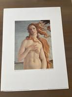 Kunstprint ‘The Birth of Venus’ – Sandro Botticelli, Antiek en Kunst, Ophalen of Verzenden