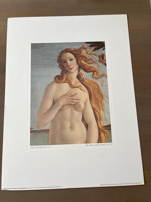 Kunstprint ‘The Birth of Venus’ – Sandro Botticelli, Antiek en Kunst, Kunst | Schilderijen | Klassiek, Ophalen of Verzenden