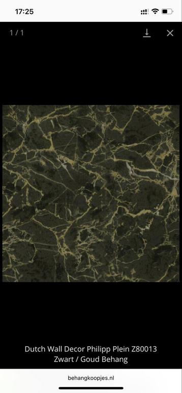 Philipp Plein Behang Z80013 - 8 Rollen beschikbaar voor biedingen