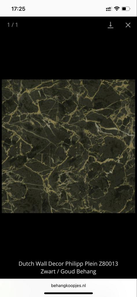 Philipp Plein Behang Z80013 - 8 Rollen, Huis en Inrichting, Stoffering | Behang, Zwart, 75 m² of meer, Ophalen