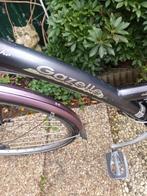 Kinderfiets  22 inch, Fietsen en Brommers, Ophalen, Zo goed als nieuw, Minder dan 10 versnellingen, Overige merken