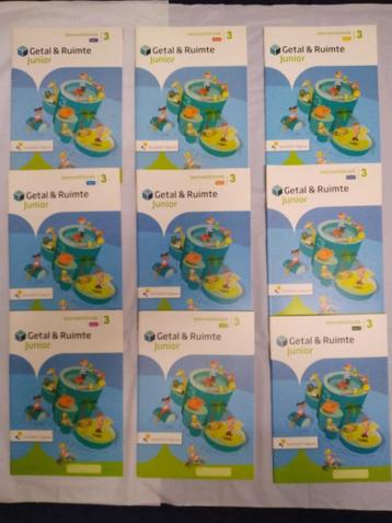 Getal en Ruimte Junior - Groep 3 - Leerwerkboek Blok 1 t/m 9 beschikbaar voor biedingen
