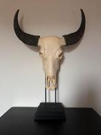 Mooie runderschedel met hoorns – op standaard, Ophalen of Verzenden, Zo goed als nieuw