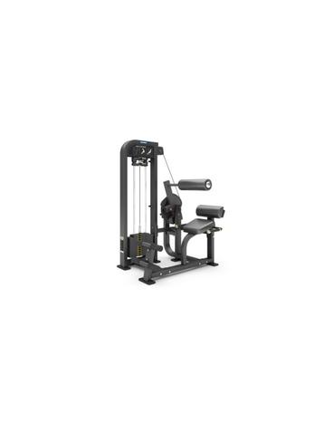 P21 | Gymfit Back Extension | Custom-Line Plus beschikbaar voor biedingen