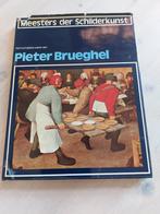 Pieter brueghel meester in de schilderkunst., Ophalen of Verzenden, 20e eeuw of later, Zo goed als nieuw, Europa