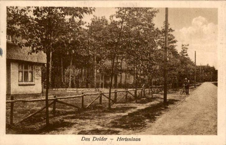 Den Dolder - Hertenlaan, Verzamelen, Ansichtkaarten | Nederland, Gelopen, Utrecht, 1920 tot 1940, Ophalen of Verzenden