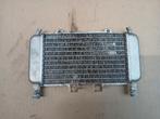 Radiateur Piaggio Gilera Runner 50cc Radiator, Ophalen of Verzenden, Gebruikt, Overige typen, Piaggio