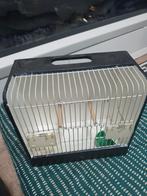 13 stuks tt kooien klein te koop, Ophalen, Gebruikt, Hout, Vogelkooi