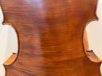 Montagnana Model Cello - Warme Klank, Muziek en Instrumenten, Ophalen, Gebruikt, 4/4-cello