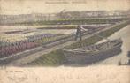 Bloembollenvelden met dekschuit (1902), Ophalen of Verzenden, Voor 1920, Gelopen, Zuid-Holland
