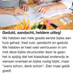 PRIVÉ BIJLES / HUISWERKBEGELEIDING / EXAMENTRAINING, Diensten en Vakmensen, Bijles, Privé-les en Taalles, Privéles, Bijles