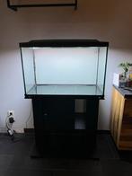 Aquarium 150 liter inclusief 2 led lichten en kast., Dieren en Toebehoren, Vissen | Aquaria en Toebehoren, Ophalen, Leeg aquarium