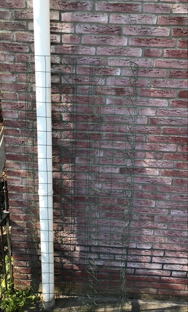 Planten klimrek - plantenrek - regenpijp - plantensteun, Ophalen, Nieuw, Minder dan 10 meter, Draad