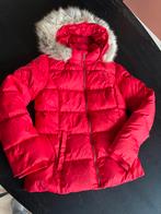 Tommy Hilfiger jas kind 170 - Dons gevoerd, Kinderen en Baby's, Kinderkleding | Maat 170, Ophalen of Verzenden, Gebruikt, Jongen of Meisje