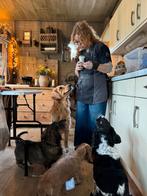 Hondenoppas in huiselijke sfeer