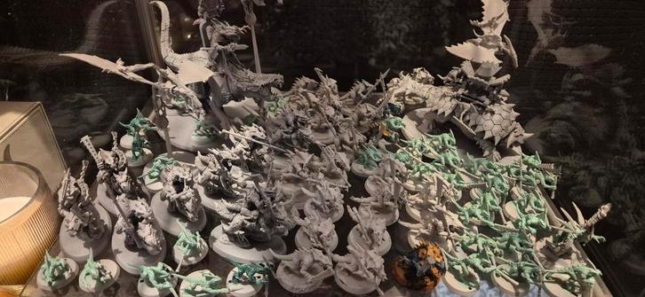 Warhammer Seraphon Skink Leger - Complete Army, Hobby en Vrije tijd, Wargaming, Warhammer, Geverfd, Ophalen of Verzenden