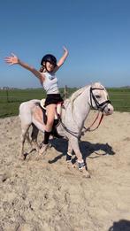 Kinderpony welsh a ruin, Dieren en Toebehoren, Pony's, Merrie, Recreatiepony, Ontwormd