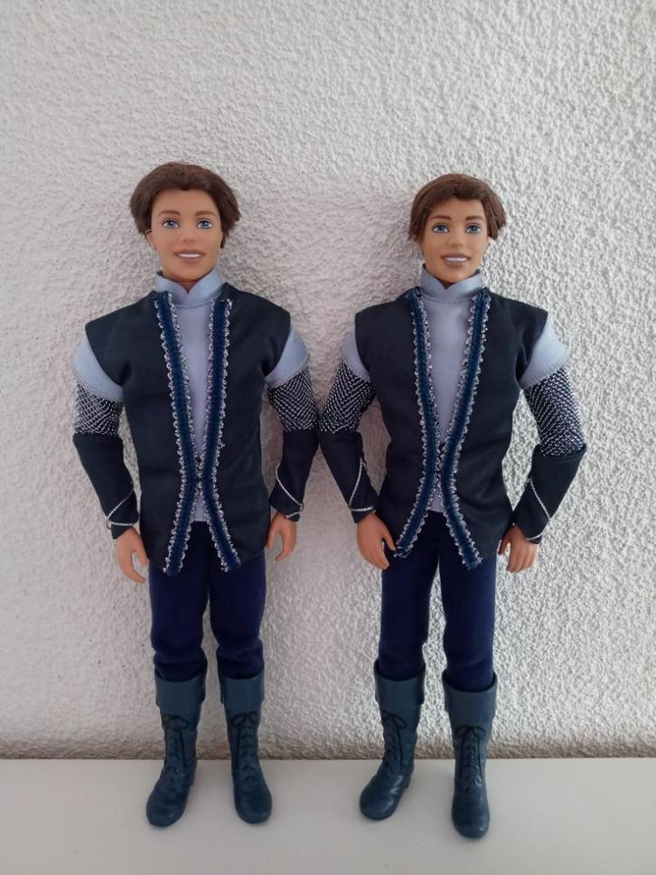 2x Prins AIDAN uit de film Barbie en de Magie van de Pegasus, Verzamelen, Poppen, Gebruikt, Pop, Ophalen of Verzenden