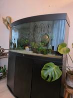 Juwel vision 260 helialux spectrum+ SmartControl, Dieren en Toebehoren, Ophalen of Verzenden, Zo goed als nieuw, Leeg aquarium
