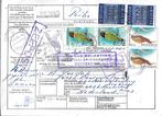 Pakketkaart Suriname verzonden Zeepost Paramaribo 8 nov 1985, Verzenden, Overige typen