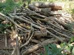 Droog stamhout/dikke takken, 3 tot 6 m³, Ophalen, Berkenhout, Stammen