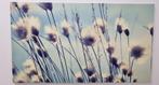 Paardenbloemen Canvas 150 x 85 cm, Ophalen, 75 tot 100 cm, 75 cm of meer, Print