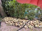 Tuin Keien, Tuin en Terras, Grind, Keien en Split, Ophalen, Overige materialen, Gebruikt, Kei