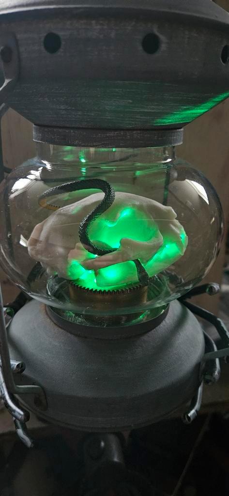 Kattenschedel Lamp met Slang - Unieke Sfeerlamp, Antiek en Kunst, Antiek | Lampen, Ophalen of Verzenden