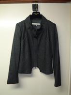 ERNY VAN REIJMERSDAL antraciet kleurige krijtstreep blazer, Kleding | Dames, Maat 42/44 (L), Nieuw, Ophalen of Verzenden, Jasje