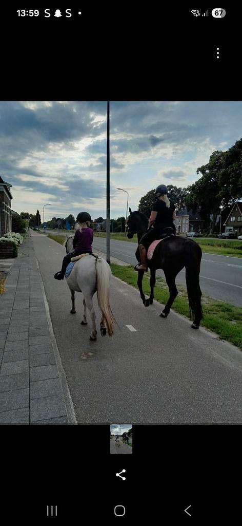 Aangeboden bijrijder, Dieren en Toebehoren, Paarden en Pony's | Verzorgingsproducten, Ophalen of Verzenden