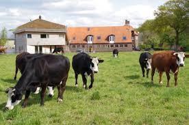 Zoek werk bij melkvee of varkens bedrijf,. beschikbaar voor biedingen