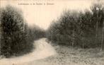 Lovinkslaan in de Duinen, Ophalen of Verzenden, Voor 1920, Gelopen, Noord-Holland