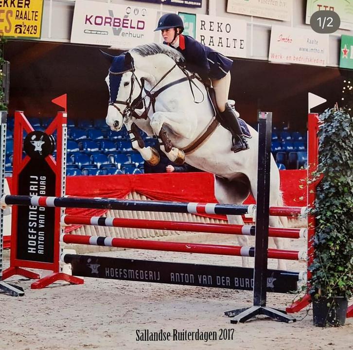 gezocht bijrijd paard, Dieren en Toebehoren, Stalling en Weidegang