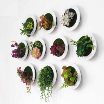 Kunst 3D Wandbloem Bloemen Vetplanten Kunstplant Kunstbloem beschikbaar voor biedingen