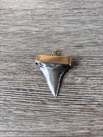 Uniek sieraad Witte haaientand hanger, Sieraden, Tassen en Uiterlijk, Kettingen, Met hanger, Gebruikt, Ophalen of Verzenden, Goud