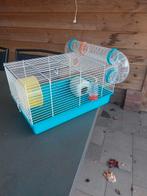 Hamsterkooi, Dieren en Toebehoren, Minder dan 60 cm, Kooi, Gebruikt, Minder dan 75 cm