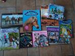 Miss Melody paarden pakket boeken, Boeken, Kinderboeken | Jeugd | onder 10 jaar, Ophalen of Verzenden, Gelezen