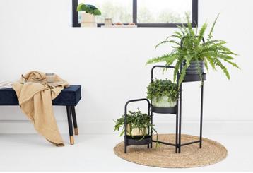 Lifa Living plantenstandaard, uitvouwbaar, 3-delig, nieuw beschikbaar voor biedingen