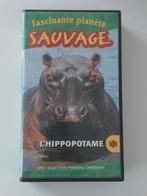 VHS D'Origine FR : Fascinante Planète Sauvage - L'Hippopotam, Gebruikt, Tekenfilm, Alle leeftijden, Ophalen of Verzenden