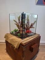 Aquarium 60 L, Dieren en Toebehoren, Vissen | Aquaria en Toebehoren, Ophalen, Zo goed als nieuw