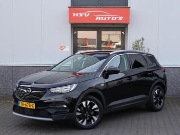 Opel Grandland X 1.2 Turbo Business Executive navi LM trekha beschikbaar voor biedingen