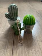 Decoratie cactussen woonaccessoires, Huis en Inrichting, Woonaccessoires | Kandelaars en Kaarsen, Nieuw, Minder dan 25 cm, Ophalen of Verzenden