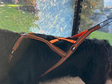 Canicross hondentuig beschikbaar voor biedingen