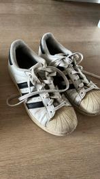 Adidas superstar maat, Gedragen, Ophalen of Verzenden, Wit, Adidas superstar