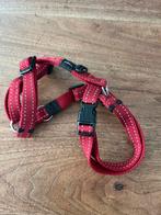 Mooie tuigje voor puppy of kleine hond, vrijwel nieuw!, Ophalen of Verzenden, Zo goed als nieuw, Hondenriem-accessoire