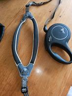 Hondenflexriem met halsband, Dieren en Toebehoren, Ophalen, Zo goed als nieuw