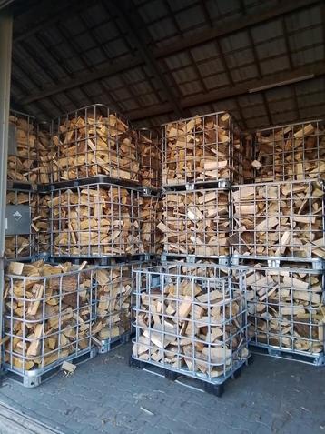 Brandhout/ haardhout  beschikbaar voor biedingen