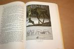 Wunderbare Reise des kleinen Nils Holgerson 1937, Boeken, Prentenboeken en Plaatjesalbums, Ophalen of Verzenden, Gelezen